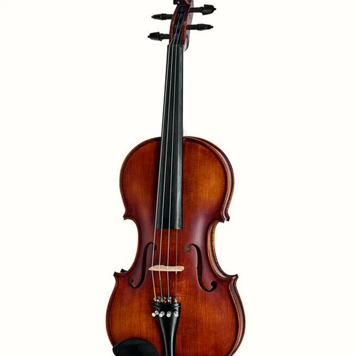 Roth Junius Orchestra Violin Set St Eb 4 4