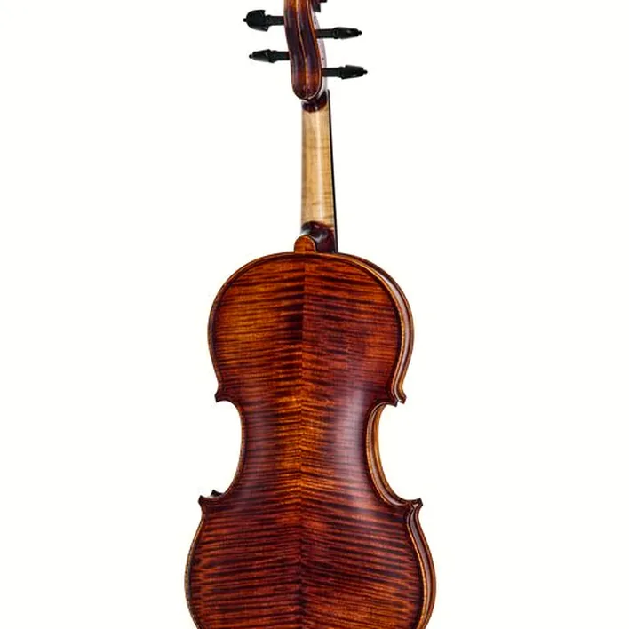 Roth Junius Orchestra Violin Set St Eb 4 4