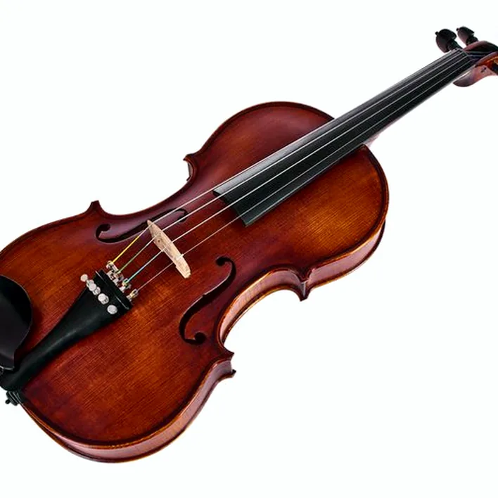 Roth Junius Orchestra Violin Set St Eb 4 4