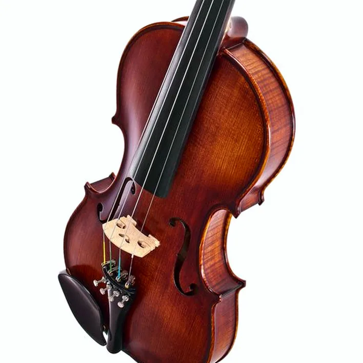 Roth Junius Orchestra Violin Set St Eb 4 4