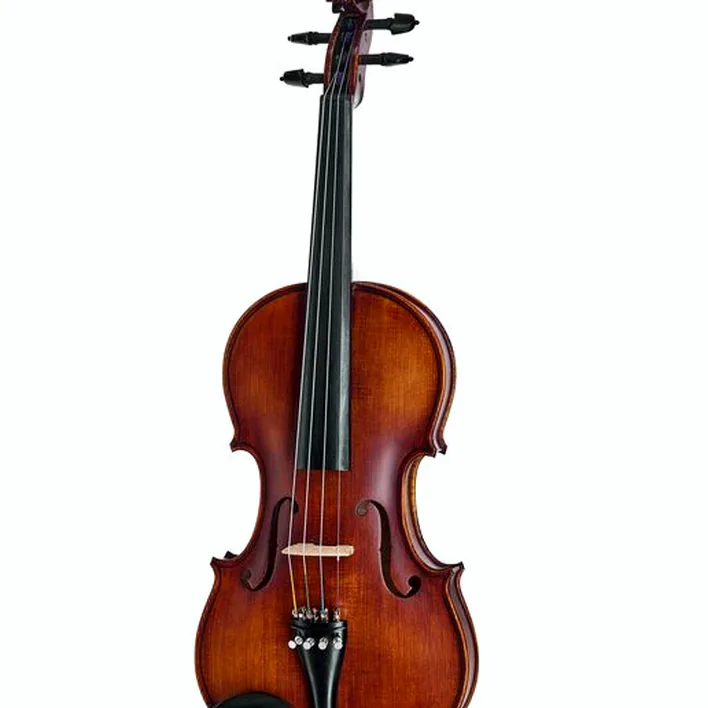 Roth Junius Orchestra Violin Strad Eb 4 4