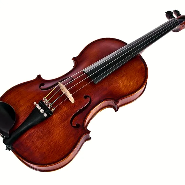 Roth Junius Orchestra Violin Strad Eb 4 4
