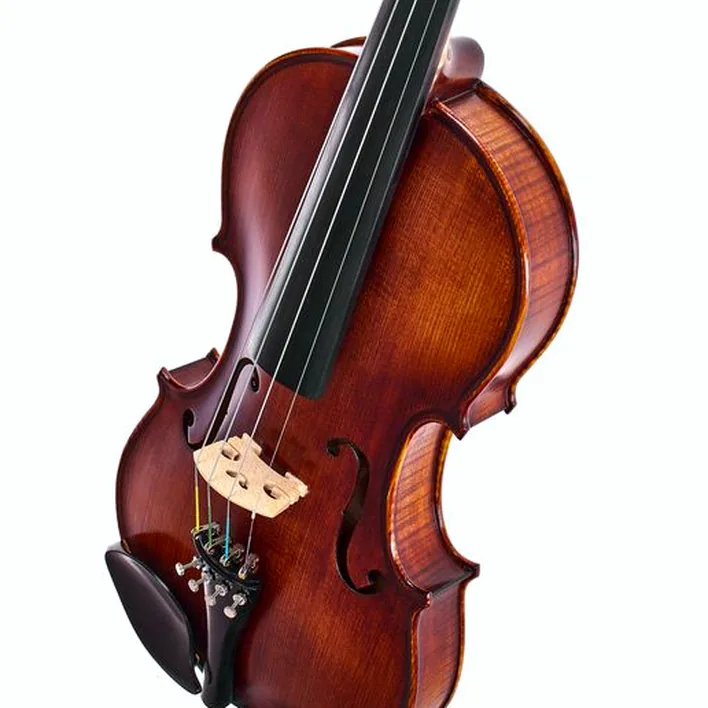 Roth Junius Orchestra Violin Strad Eb 4 4