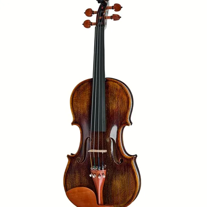 Roth Junius Preludio 01 Violin Set 4 4 Bw