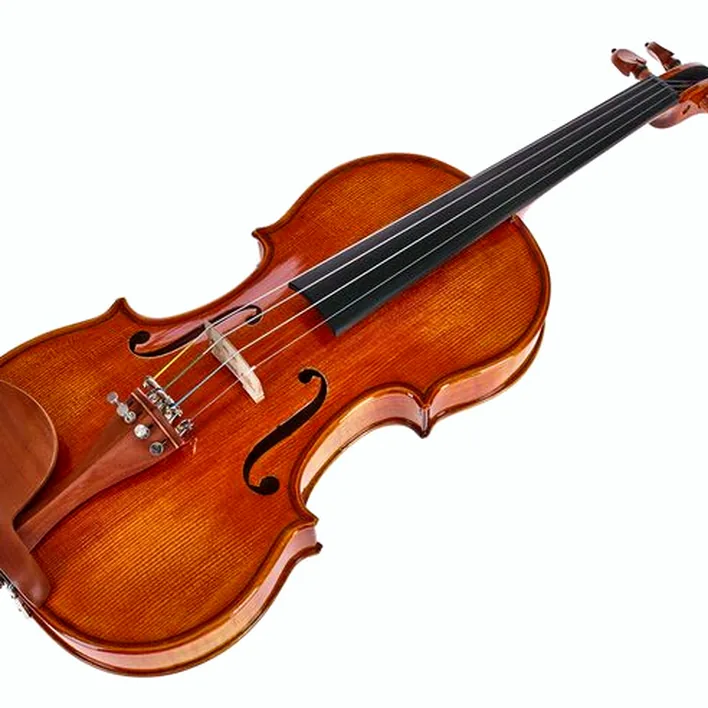 Roth Junius Preludio 02 Violin Set 4 4 Bw