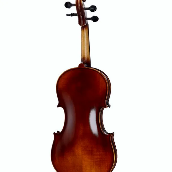 Roth Junius Rjve 44 Student Violinset