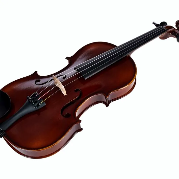 Roth Junius Rjve 44 Student Violinset