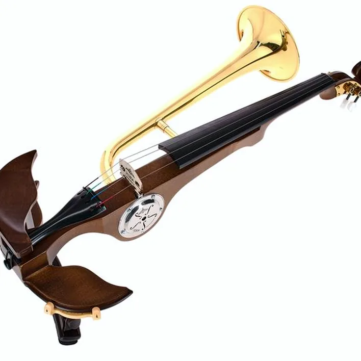 Roth Junius Stroh Violin New Edition 4 4