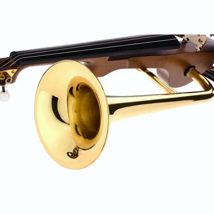 Roth Junius Stroh Violin New Edition 4 4