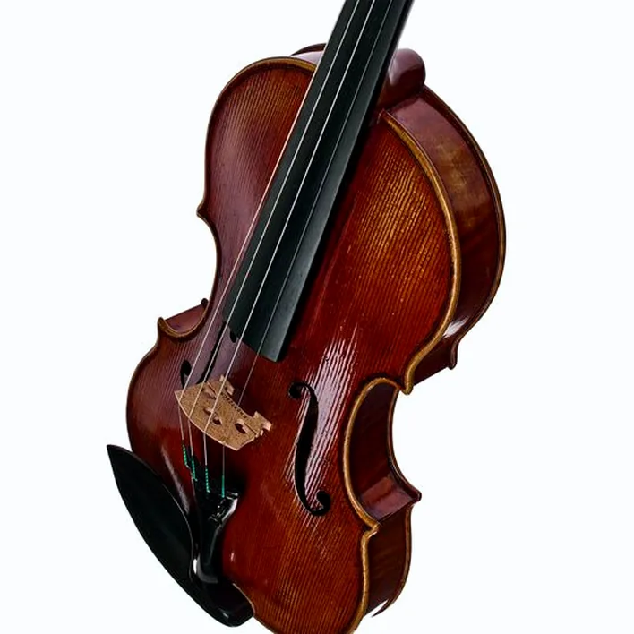 Scala Vilagio F H Guarneri Del G Carrodus