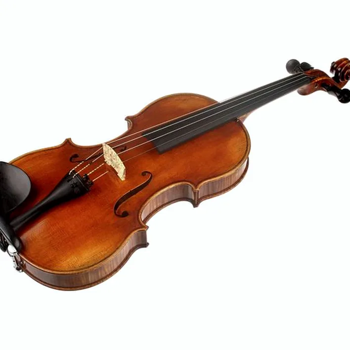 Scala Vilagio Psh06 E Concert Violin Guarn