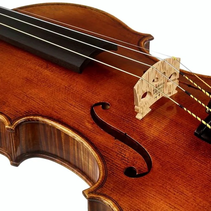 Scala Vilagio Psh06 E Concert Violin Guarn