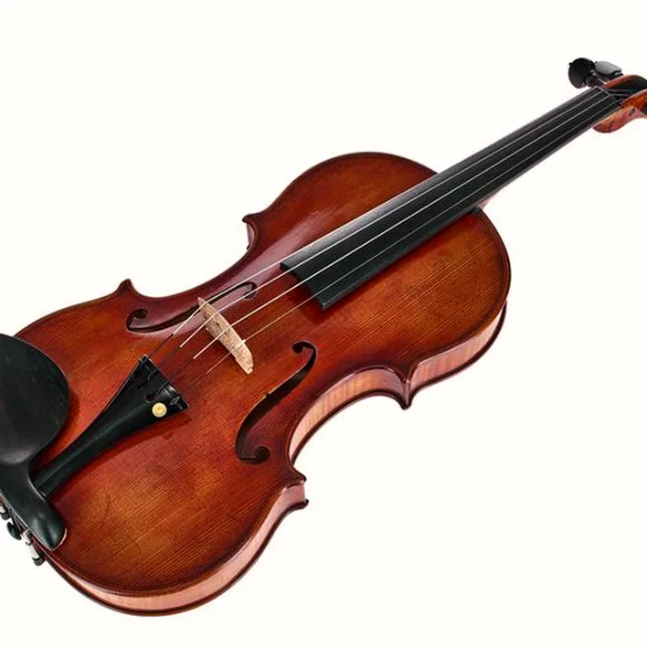 Scala Vilagio S I Orchestra Violin Guarneri