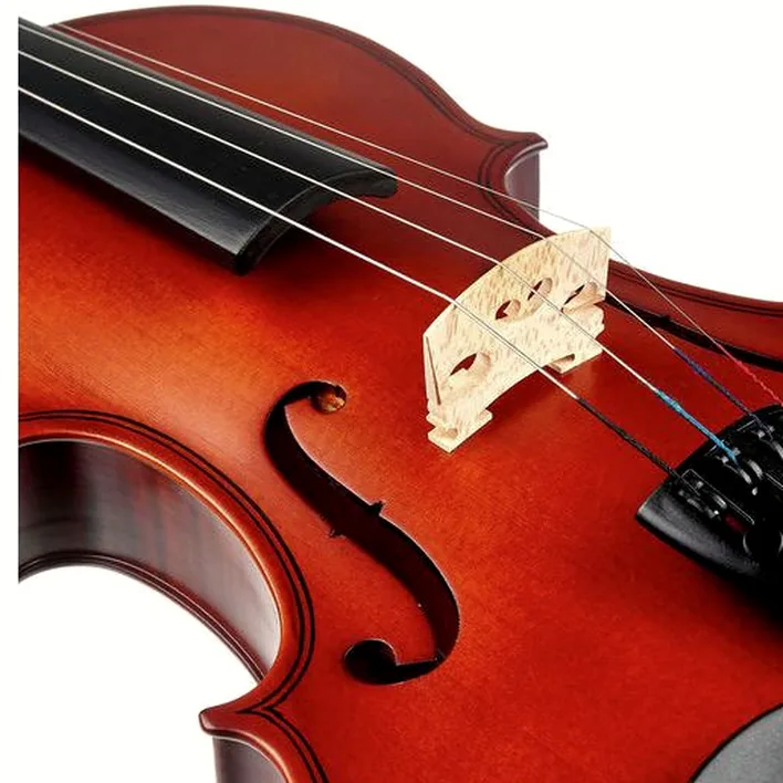 Startone Student I Violin Set 4 4