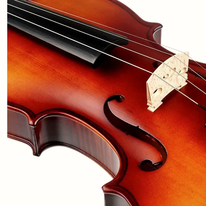 Startone Student Ii Violin Set 4 4