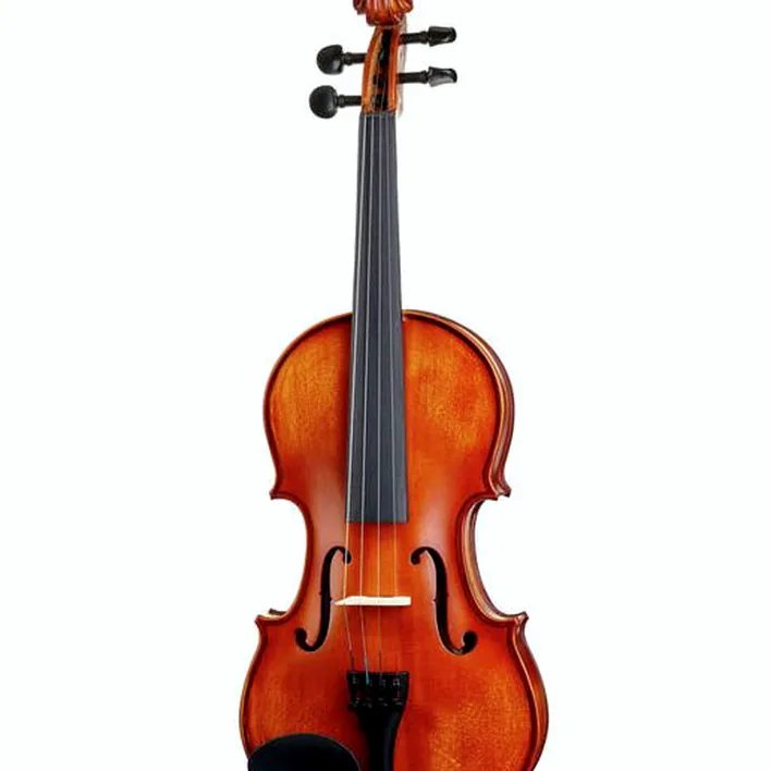 Startone Student Iii Violin Set 4 4