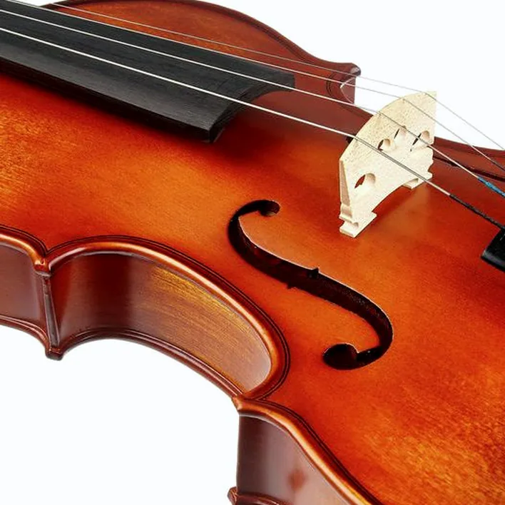 Startone Student Iii Violin Set 4 4