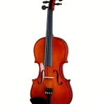 Stentor SR1018 Violinset 4/4 Avis : Toute la vérité sur ce violon acoustique