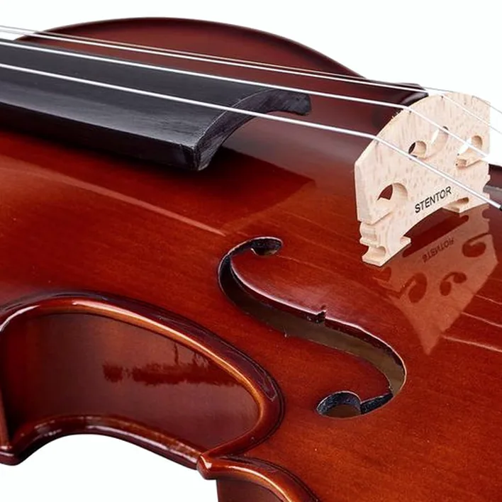 Stentor Sr1400 Violine 44