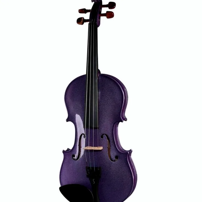 Stentor Sr1401 Harlequin Violin 4 4 Dp