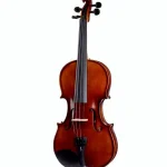 Stentor SR1542 Violin Graduate 4/4 Avis : Le verdict honnête et sans filtre du musicien