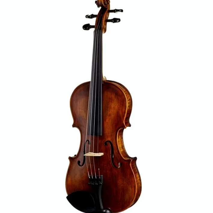 Stentor Sr1864 Verona Violin 4 4
