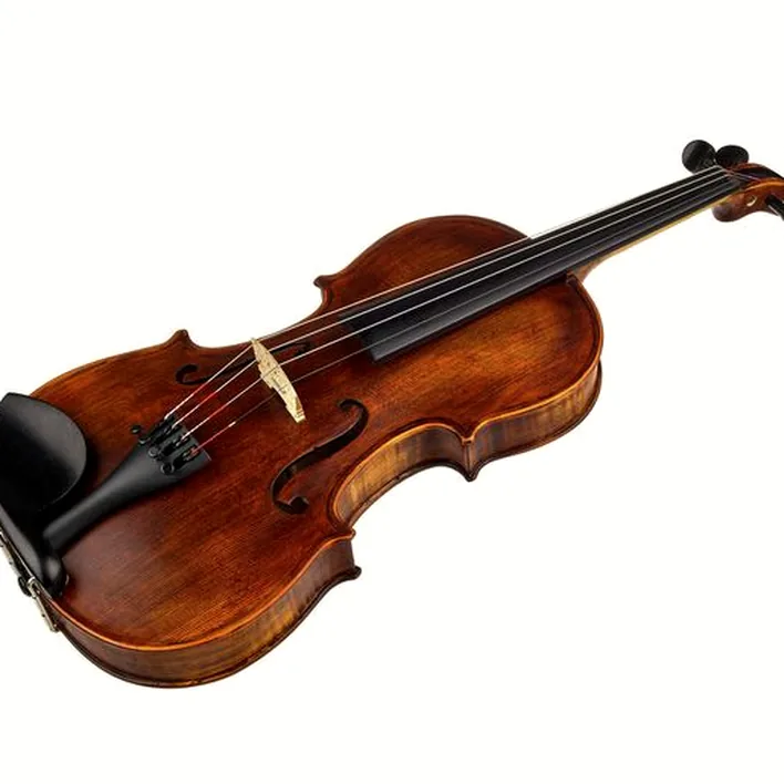 Stentor Sr1864 Verona Violin 4 4