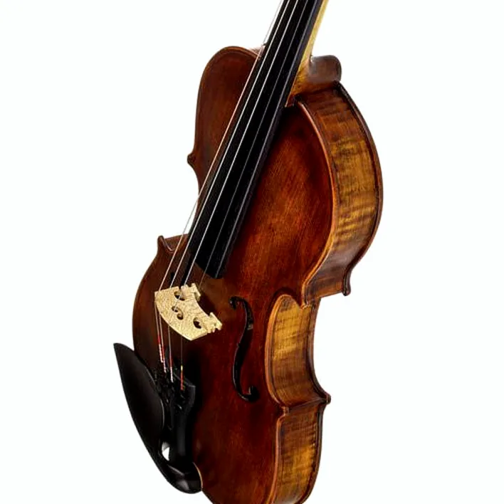 Stentor Sr1864 Verona Violin 4 4