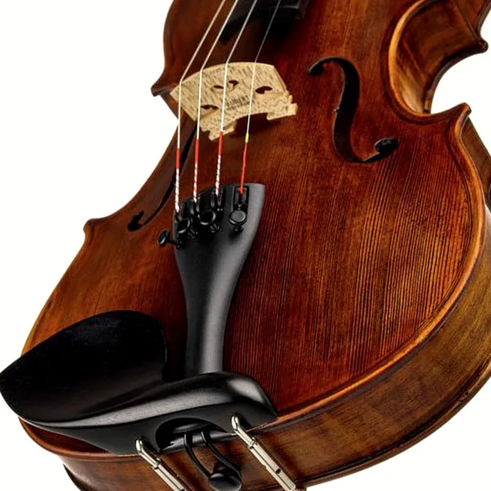 Stentor Sr1864 Verona Violin 4 4