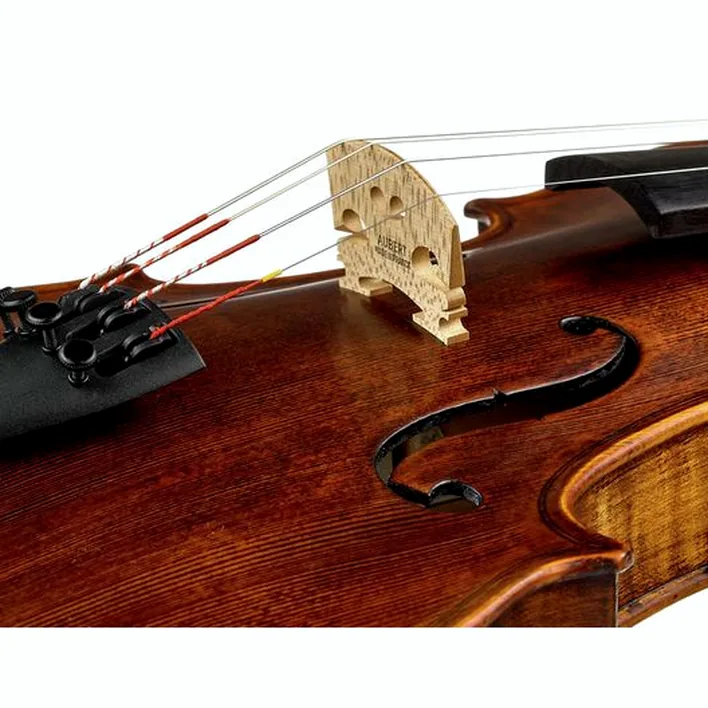 Stentor Sr1864 Verona Violin 4 4