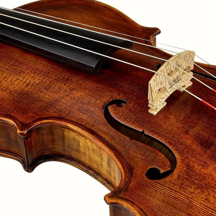 Stentor Sr1864 Verona Violin 4 4