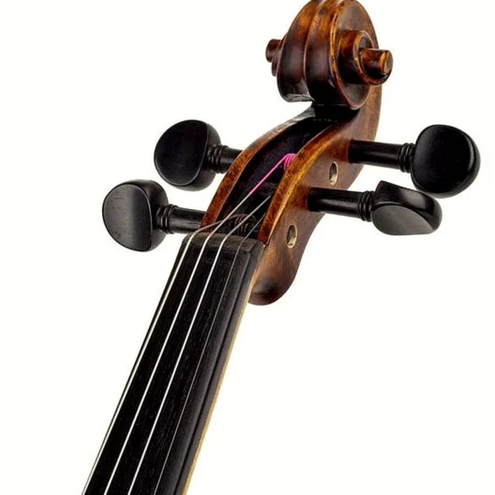 Stentor Sr1864 Verona Violin 4 4
