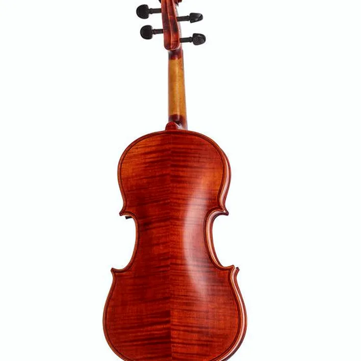 Stentor Sr1875 Violin Elysia 4 4