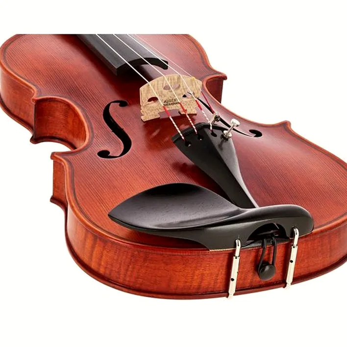Stentor Sr1875 Violin Elysia 4 4