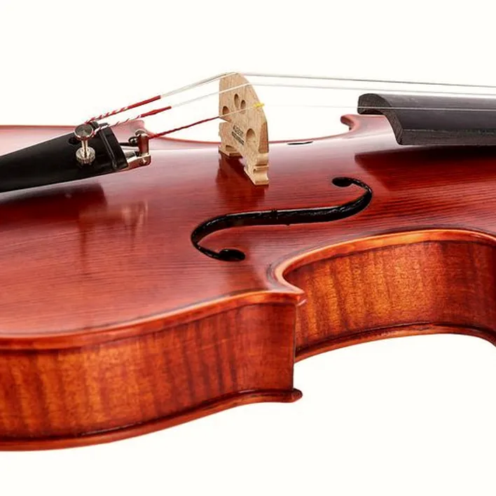 Stentor Sr1875 Violin Elysia 4 4