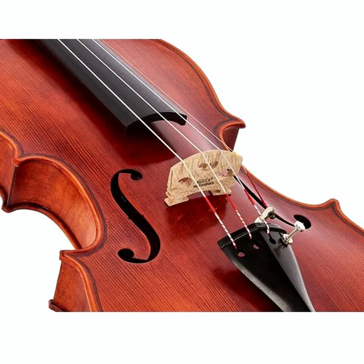 Stentor Sr1875 Violin Elysia 4 4