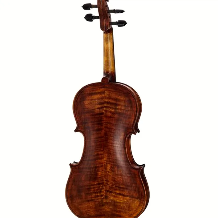 Stentor Sr1884 Violin Arcadia Antik