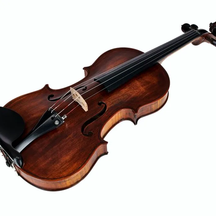 Stentor Sr1884 Violin Arcadia Antik