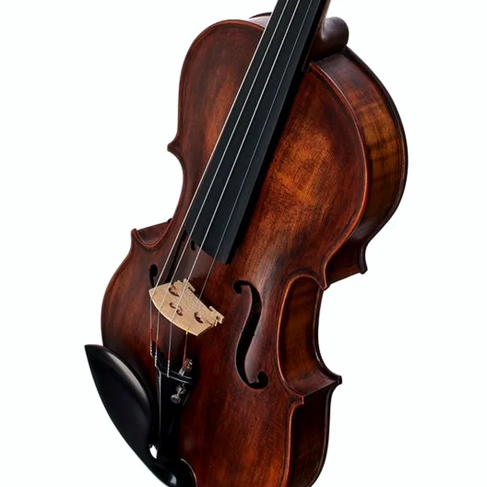 Stentor Sr1884 Violin Arcadia Antik