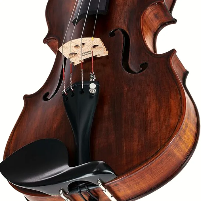 Stentor Sr1884 Violin Arcadia Antik