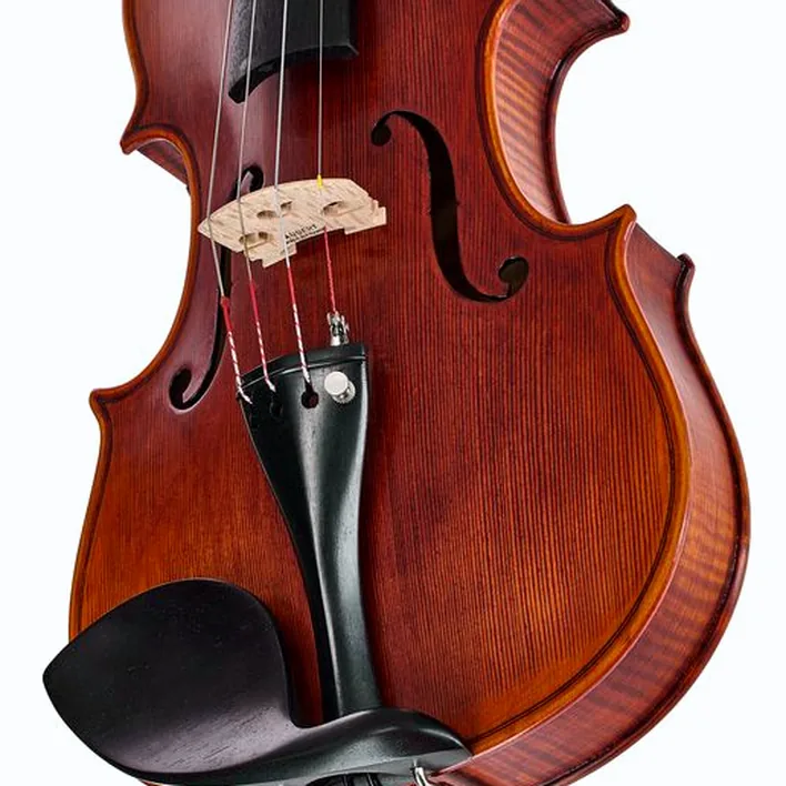 Stentor Sr1995 Violin Amati 4 4 613461