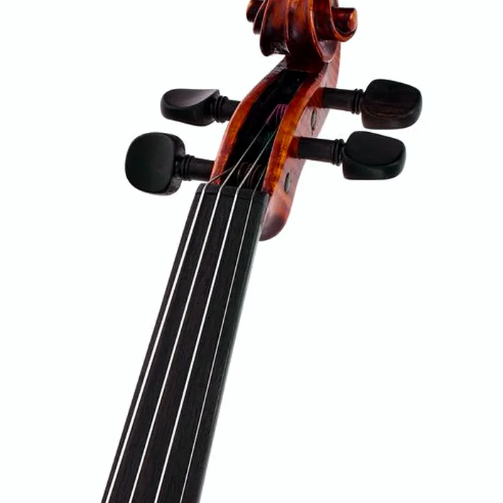 Stentor Sr1995 Violin Amati 4 4 613461