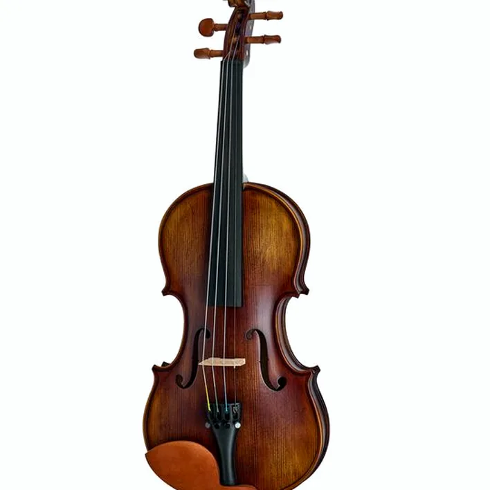 Thomann Aria Student Violin Set 4 4 Db