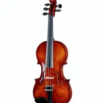 Thomann Europe 5-Str. Antiqued Violin Avis : Évaluation de la puissance et de la chaleur du son