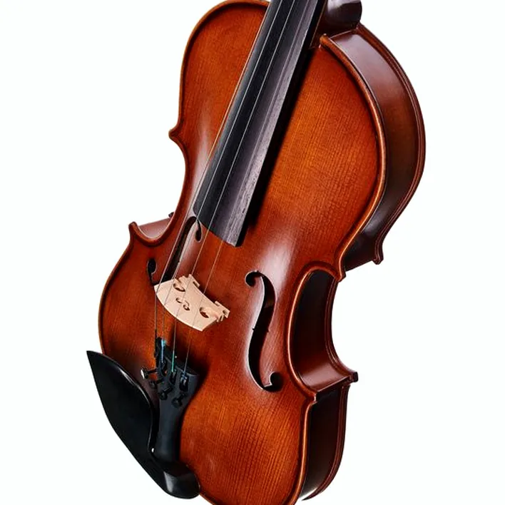 Thomann Student Violinset 4 4
