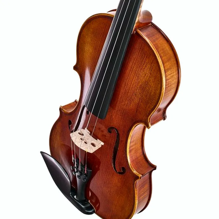 Walter Mahr Lions Head Violin 4 4