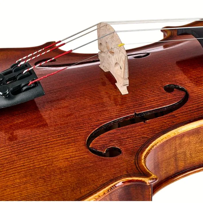 Walter Mahr Lions Head Violin 4 4
