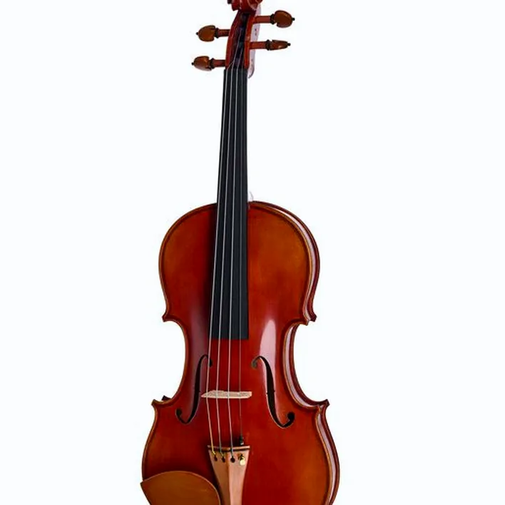 Yamaha V20 Sg Violin Outfit 4 4