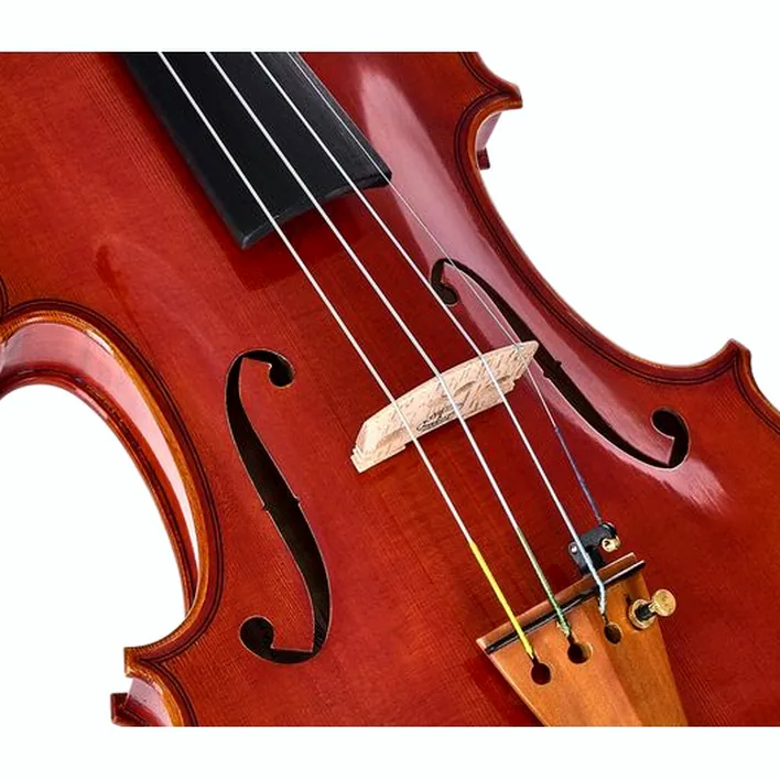 Yamaha V20 Sg Violin Outfit 4 4