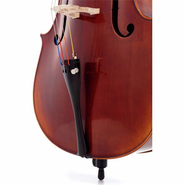 Détail 8 — Gewa Maestro 6 Cello 4/4